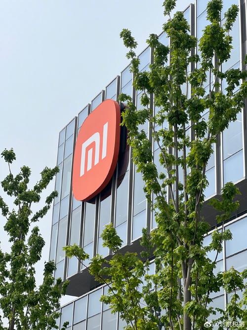 「智造未來，稅通天下」——網絡大V探訪小米汽車工廠，解碼稅收服務新生態